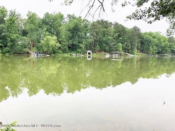 LOT 4 Shelby Shrs, Crane Hill, AL 35053