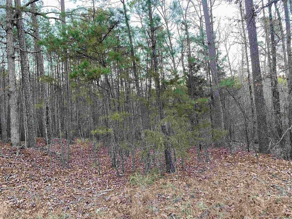 Mountain Park Rd, Shirley, AR 72153
