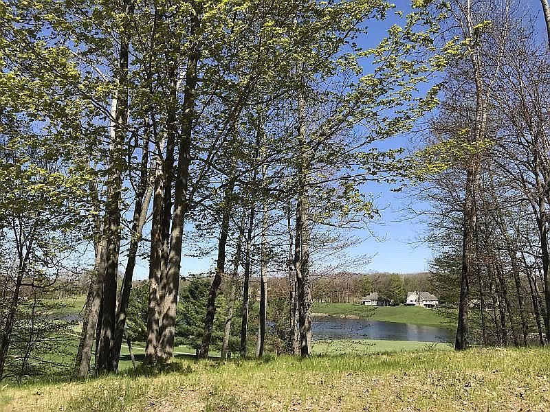 2nd image of 9332 Stonebridge Dr