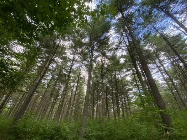 M 6 L 32-4 Rowell Mt. Rd., Solon, ME 04979