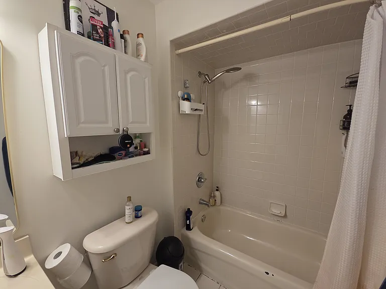Common/Guest Bathroom