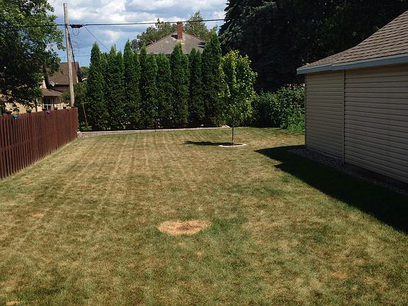 Fenced in yard with garden