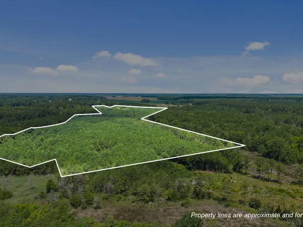 0 White Farm Road, Oriental, NC 28571