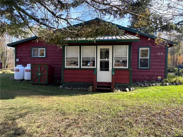 103 Haskell Ln, Cold Brook, NY 13324