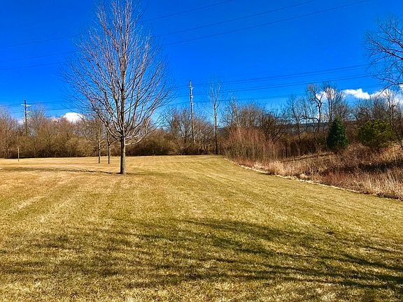 Large Green Space