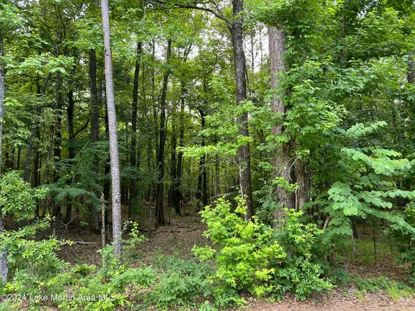 9 Stillwaters Dr, Dadeville, AL 36853