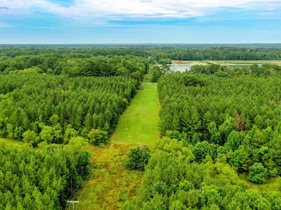 Powerline Right of Way Near Center of Property, Flanked by Pine Plantation