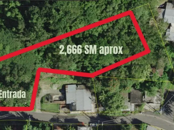 Bo Manati Abajo Sector Angostura Lote #4, Barceloneta, PR 00617