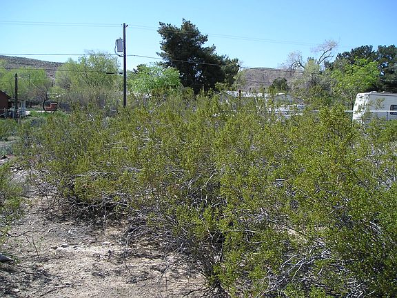 5th image of Vegas St And Exchange Ave