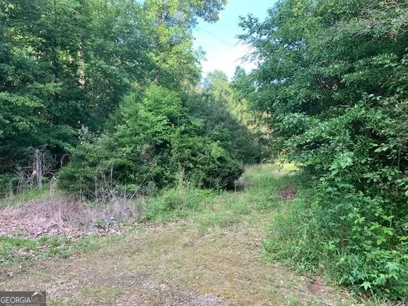 300 Jackson Woods Rd, Maysville, GA 30558