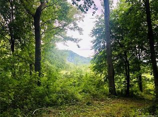 994 Stamey Cove Rd, Waynesville, NC 28786