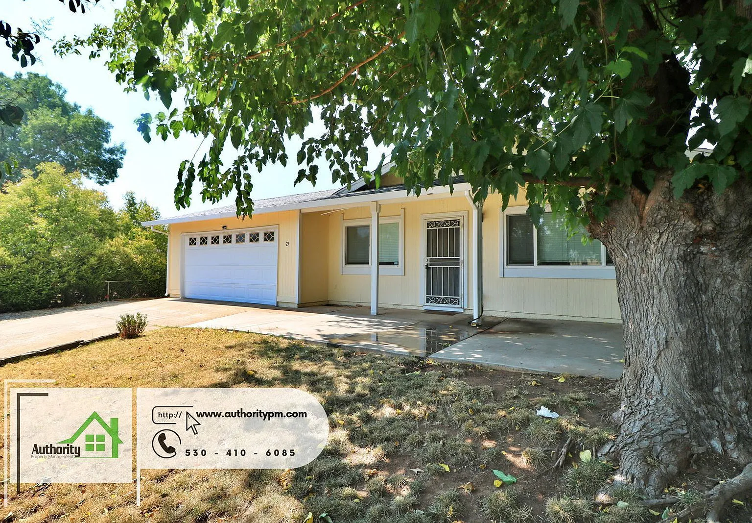 3 bed, 2.0 bath, 1140 sqft, $1,895 — Photo 2