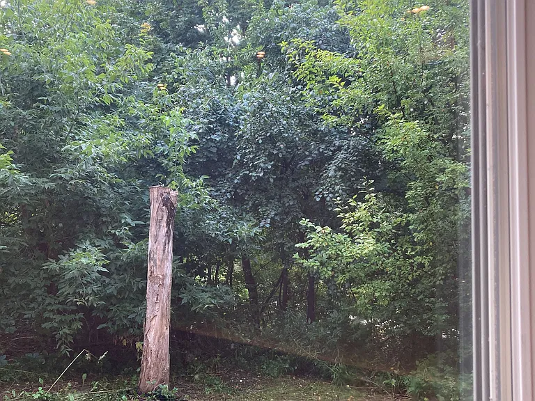 1449 Ithaca Ct — Photo 15