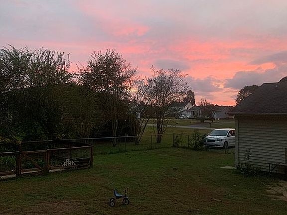 Partial view of Backyard