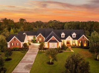 10705 Crane Hill Ct, Thonotosassa, FL 33592