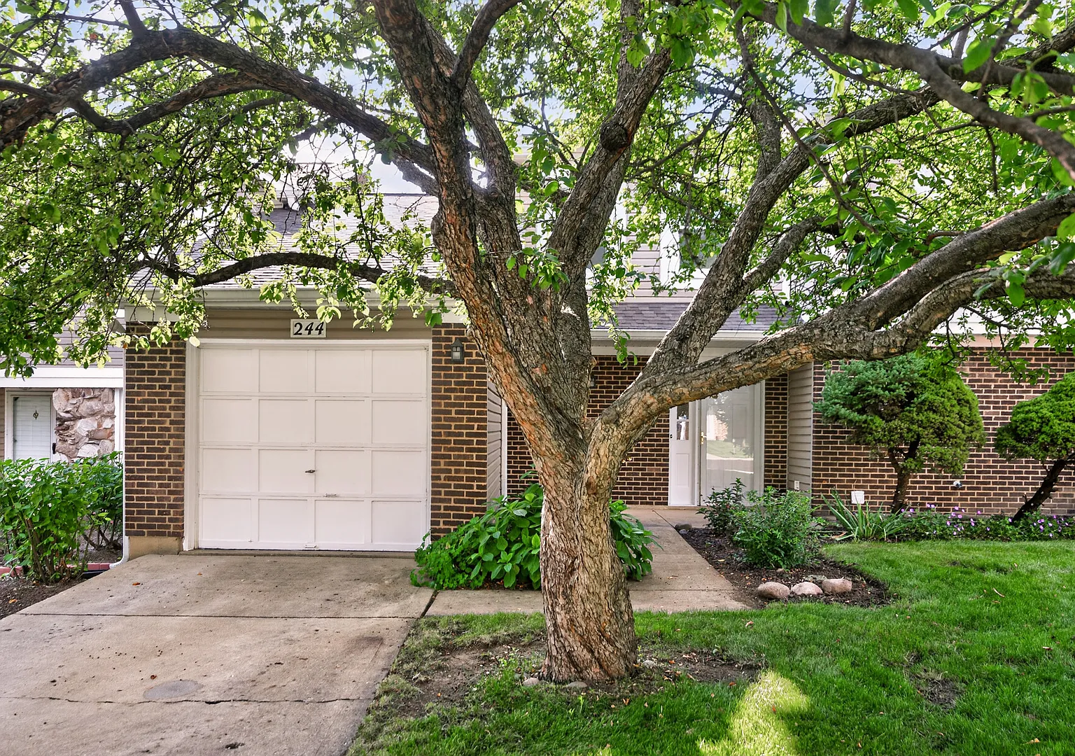 3 bed, 1510 sqft, $2,950 — Photo 2