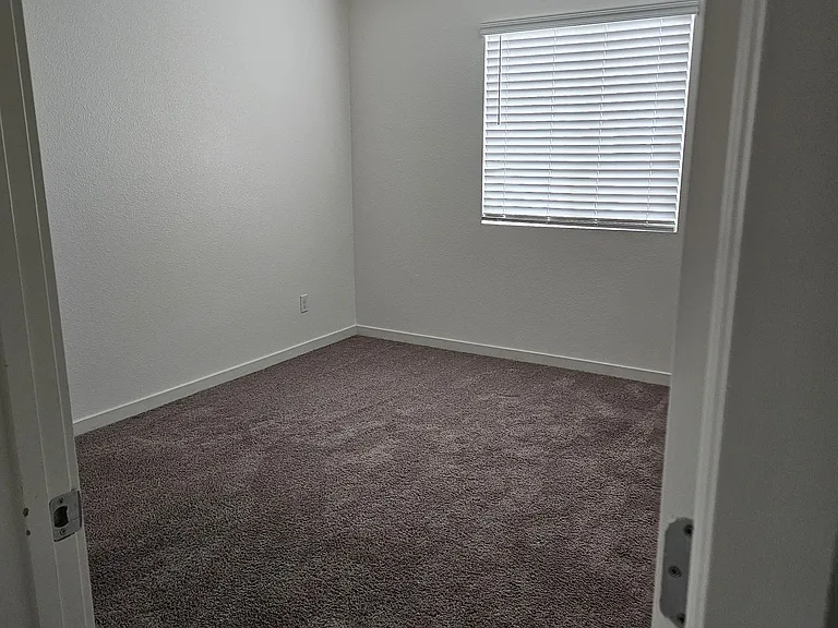 4385 Silver Cedar Ln — Photo 17