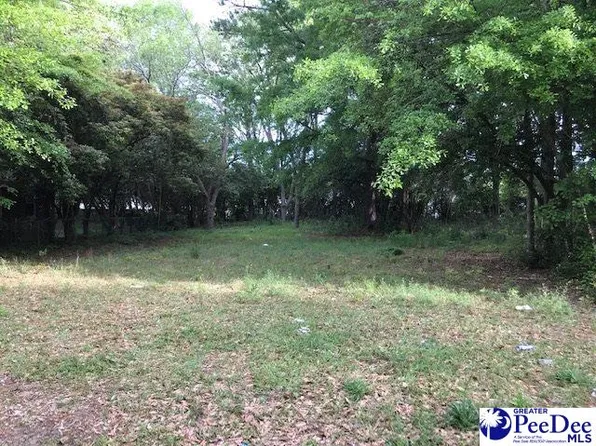 414 Bell Ave, Hartsville, SC 29550