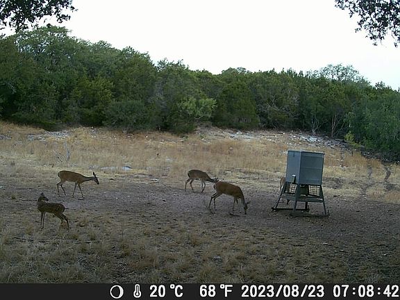 3rd image of 1595 Skyridge Rd