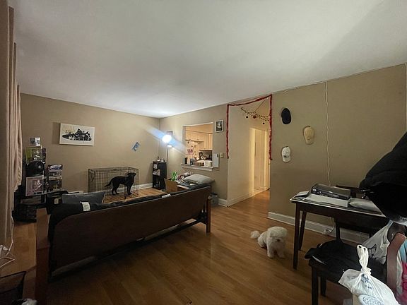 5th image of 1754 E Oakton St APT 205