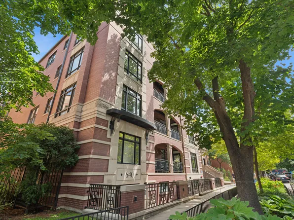 640 W Barry Ave APT 204, Chicago, IL 60657