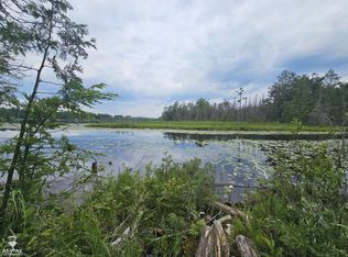 Spile Dam Rd, Millersburg, MI 49759