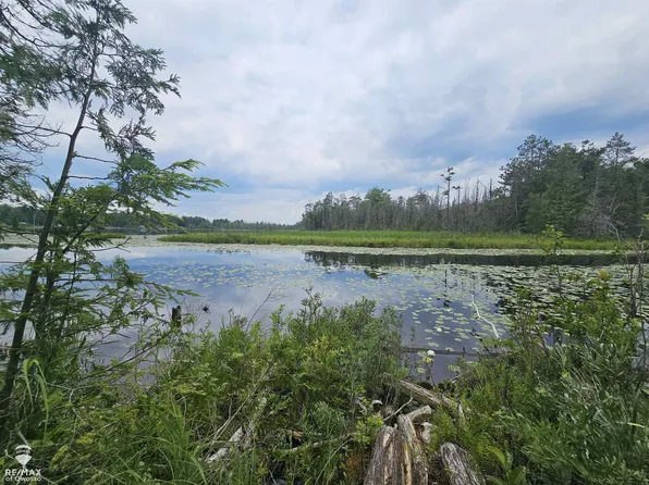 Spile Dam Rd, Millersburg, MI 49759