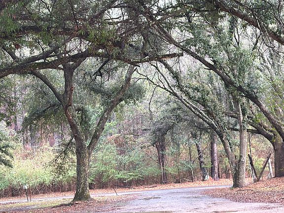 5th image of 120 Bessie Crow Rd