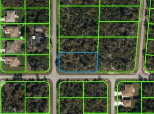 216 Java Ave NE, Lake Placid, FL 33852