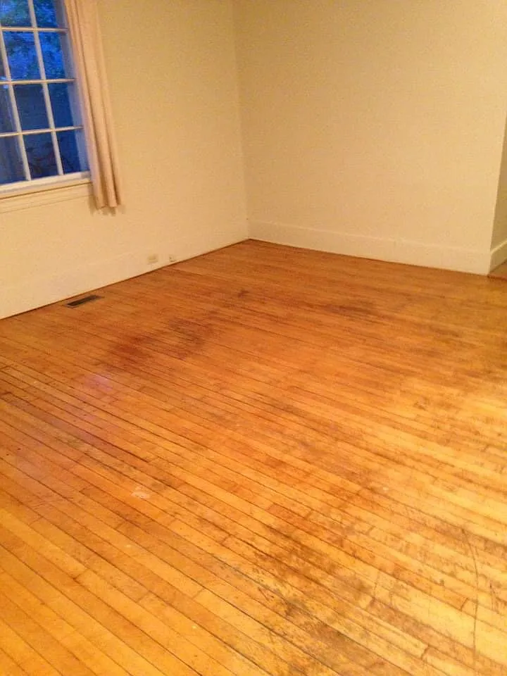 4 bed, 1.0 bath, 1060 sqft, $425 — Photo 4