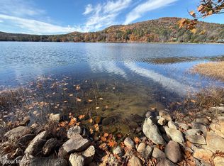 26 Teds Way, Diamond Point, NY 12824