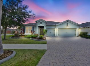 11718 Lake Lucaya Dr, Riverview, FL 33579
