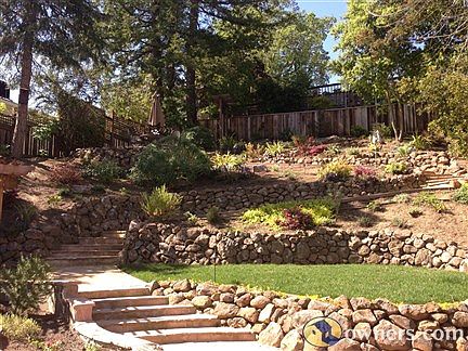 Backyard with plantar boxes and terracing