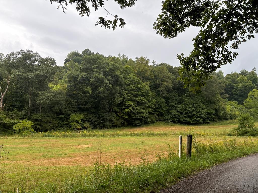 Real estate listing image