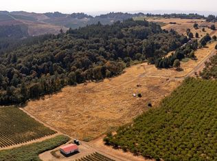 12 Franquette Dr, Amity, OR 97101