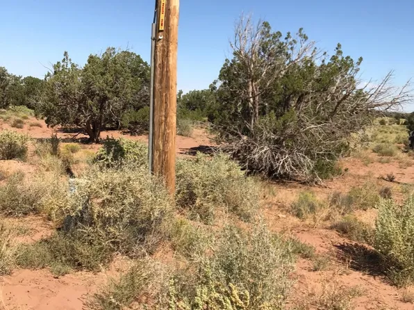 45 County Road 9005 N, Concho, AZ 85924