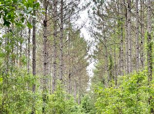 SE Rollercoaster Hill Rd, Madison, FL 32340