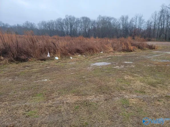 TRACT 3B Pulaski Pike, Toney, AL 35773