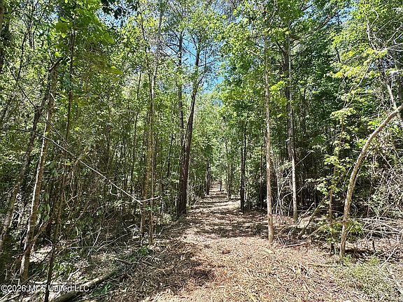 2nd image of 2 McNair Springs Rd