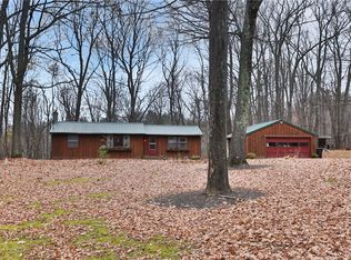 9328 Burch Hill Rd, Springwater, NY 14560