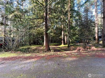 101 N Duckabush Loop W, Hoodsport, WA, 98548