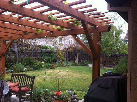 pergola with grape vines