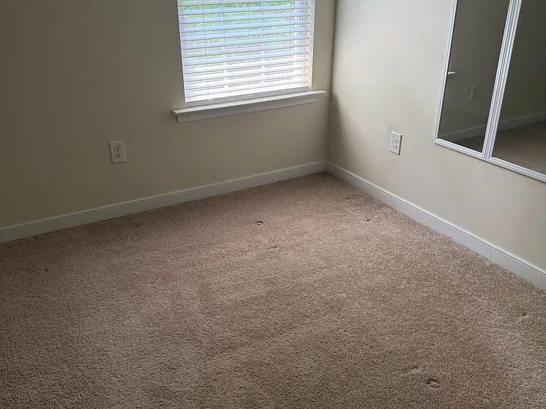 4307 Twisted Oak Dr — Photo 6