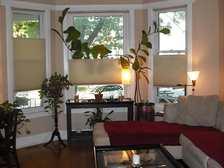 Living room, showing ceiling fan