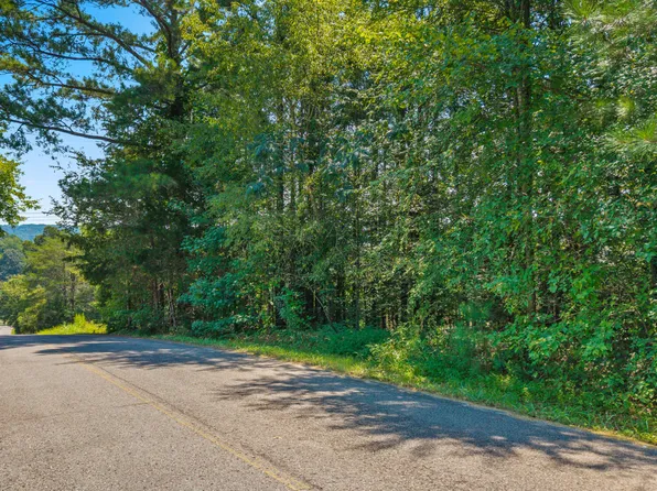 LOT 38 Dogwood Cir, Decatur, TN 37322