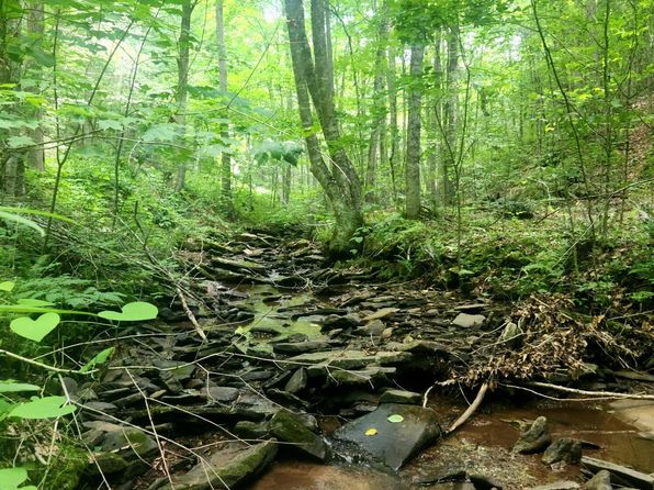 Green Bank WV Real Estate - Green Bank WV Homes For Sale | Zillow