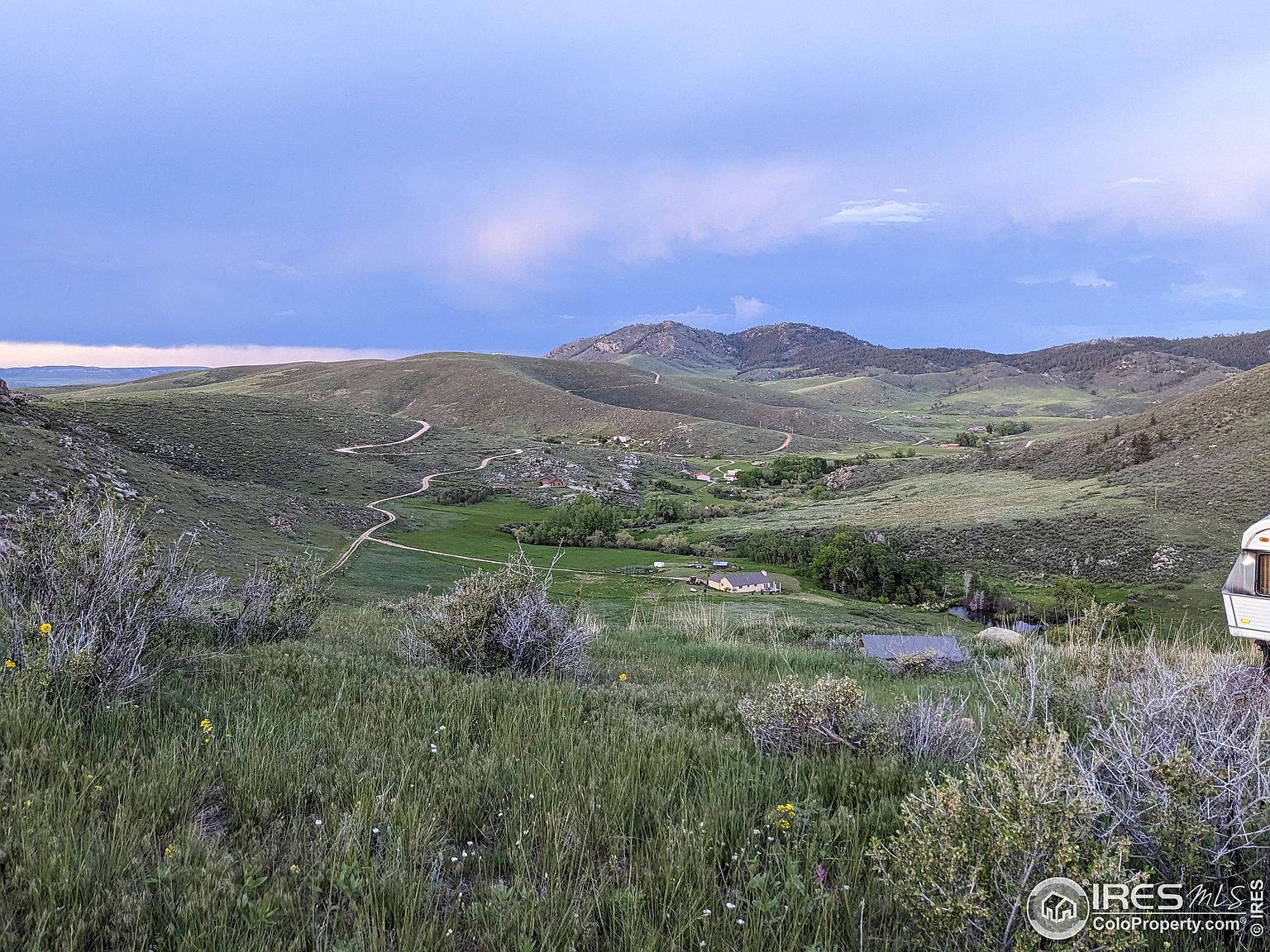 1005 Deer Meadow Way, Livermore, CO 80536 MLS 989296 Zillow