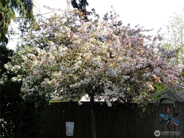 13801 59th Ave SE — Photo 16