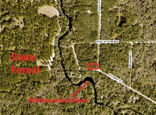 7475 Shasta St, Webster, FL 33597