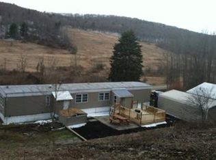 11005 Sagetown Rd, Pine City, NY 14871